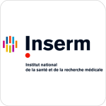 inserm plan de travail 1
